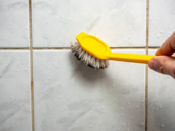 Best Emergency Mold Removal  in Oak Ridge North, TX