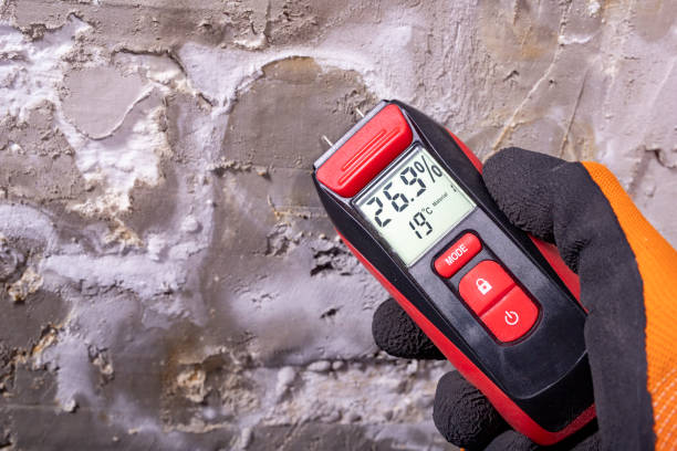Best Commercial Mold Removal  in Oak Ridge North, TX