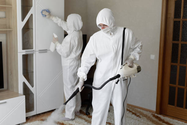 Mold Removal Process in Oak Ridge North, TX