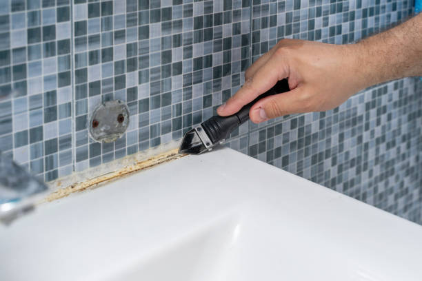 Best Black Mold Removal  in Oak Ridge North, TX