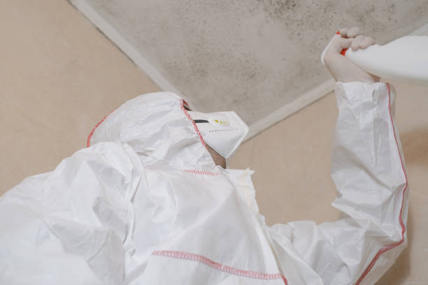 Mold Testing and Removal in Oak Ridge North, TX