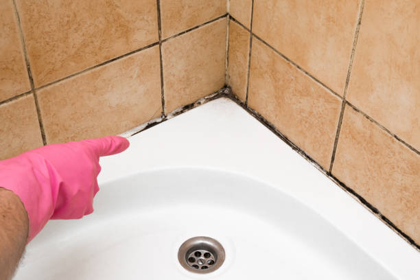 Water Damage Restoration in Oak Ridge North, TX